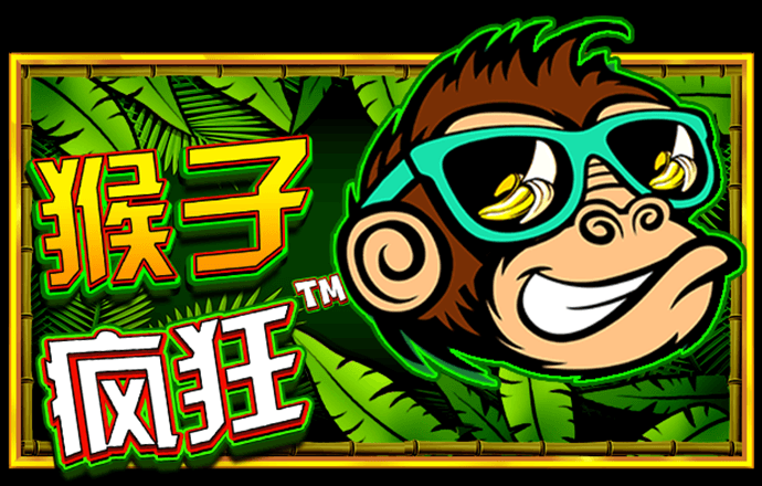 彩虹网官方网站下载